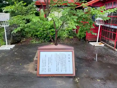 巌島大明神の建物その他