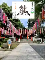 くまくま神社(導きの社 熊野町熊野神社)(東京都)