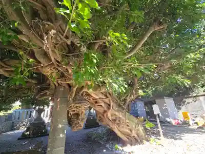 龍王神社(和歌山県)