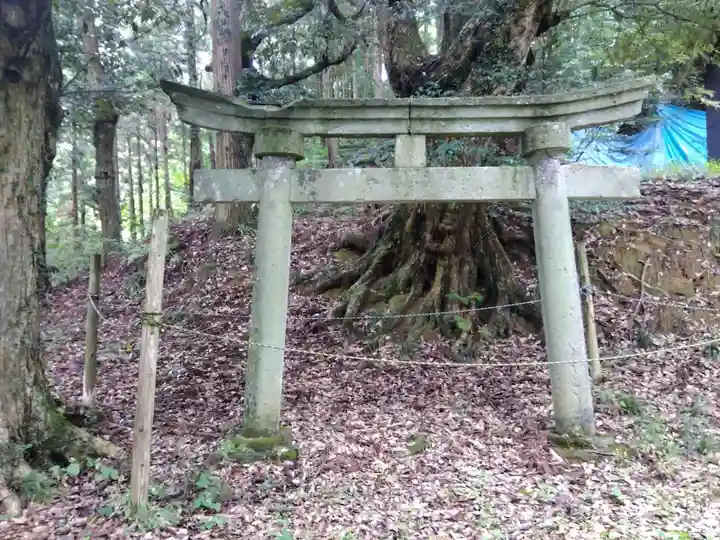 指中神社(福井県)
