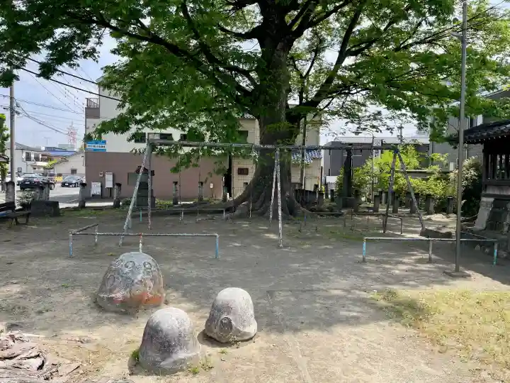千形神社の{uncategorized: "未分類", other: "その他", undefined: "問題あり", building: "その他建物", grave: "お墓", sacred_gate: "鳥居", guardian: "狛犬", statue: "像", buddha: "仏像", history: "歴史", nature: "自然", garden: "庭園", animal: "動物", pagoda: "塔", temizu: "手水舎", mountain_gate: "山門・神門", sanctuary: "本殿・本堂", subordinate: "末社・摂社", art: "芸術", scenery: "景色", jizo: "地蔵", ema: "絵馬", goshuin: "御朱印", omikuji: "おみくじ", items: "授与品その他", amulet: "お守り", goshuincho: "御朱印帳", eats: "食事", festival: "お祭り", votive_dance: "神楽", shichigosan: "七五三参", wedding: "結婚式", experience: "体験その他", initially: "初詣", around: "周辺", anti_infection: "感染症対策"}