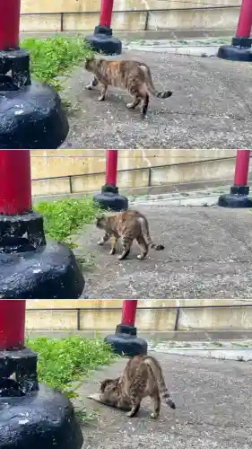 入舟稲荷神社(北海道)