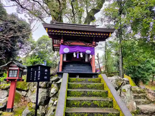 鹿児島神宮(鹿児島県)