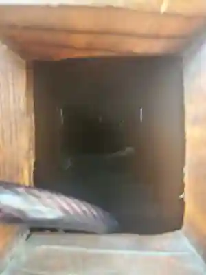 御嶽神社(小児玉稲荷社)(栃木県)