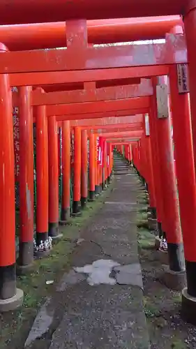 佐助稲荷神社の鳥居