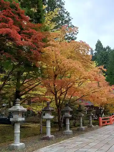 高野山金剛峯寺奥の院(和歌山県)