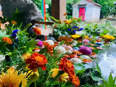 滑川神社 - 仕事と子どもの守り神の手水舎