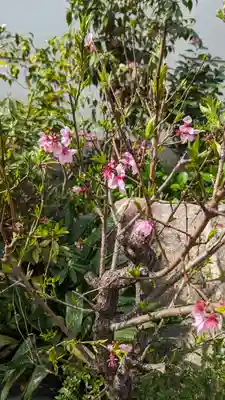福田寺(京都府)