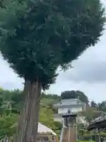 真浄寺(茨城県)