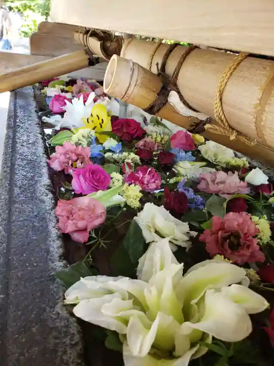 鳩森八幡神社(東京都)