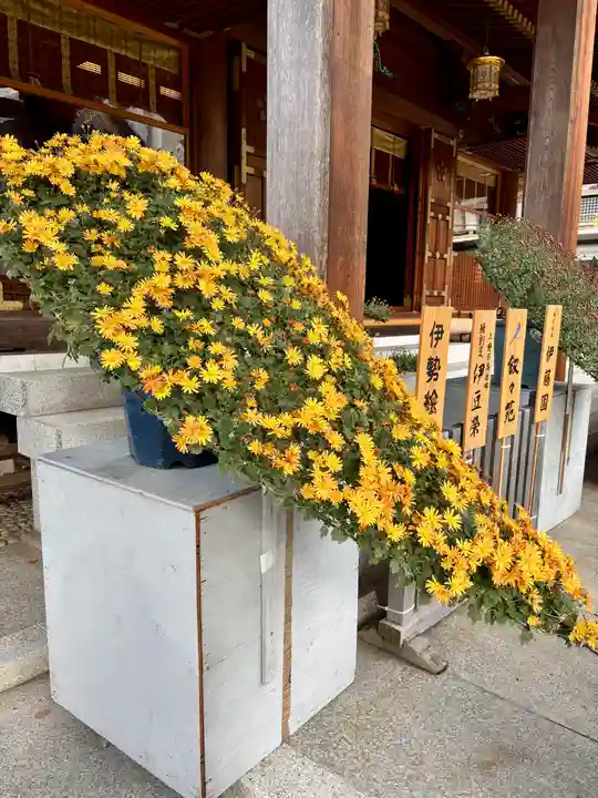 湯島天満宮(東京都)