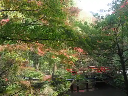 鶴岡八幡宮の庭園