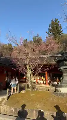 春日大社(奈良県)