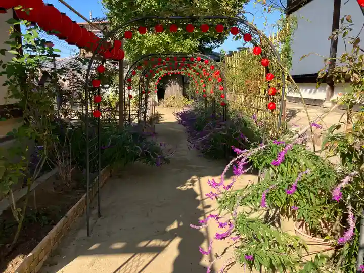 おふさ観音(観音寺)(奈良県)