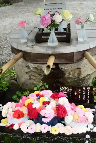 深大寺(東京都)