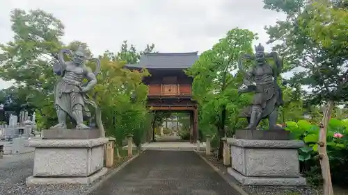 善長寺の狛犬