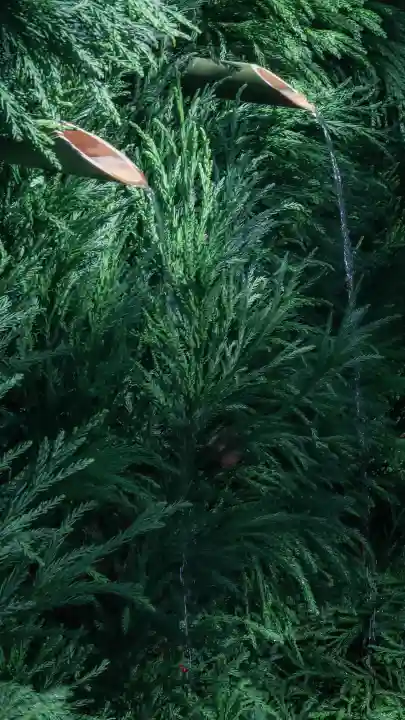 賀茂御祖神社(下鴨神社)(京都府)