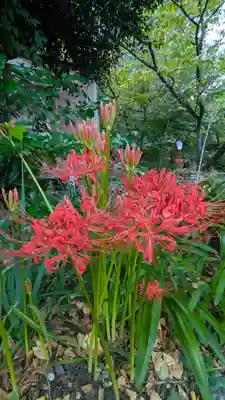 平野神社(京都府)