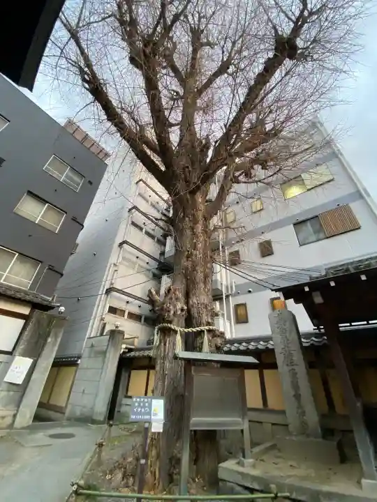 本能寺の{uncategorized: "未分類", other: "その他", undefined: "問題あり", building: "その他建物", grave: "お墓", sacred_gate: "鳥居", guardian: "狛犬", statue: "像", buddha: "仏像", history: "歴史", nature: "自然", garden: "庭園", animal: "動物", pagoda: "塔", temizu: "手水舎", mountain_gate: "山門・神門", sanctuary: "本殿・本堂", subordinate: "末社・摂社", art: "芸術", scenery: "景色", jizo: "地蔵", ema: "絵馬", goshuin: "御朱印", omikuji: "おみくじ", items: "授与品その他", amulet: "お守り", goshuincho: "御朱印帳", eats: "食事", festival: "お祭り", votive_dance: "神楽", shichigosan: "七五三参", wedding: "結婚式", experience: "体験その他", initially: "初詣", around: "周辺", anti_infection: "感染症対策"}