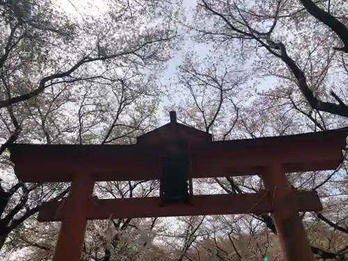 東蕗田天満社の鳥居