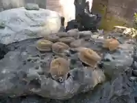 亀の子石神社(亀の子様)のその他建物