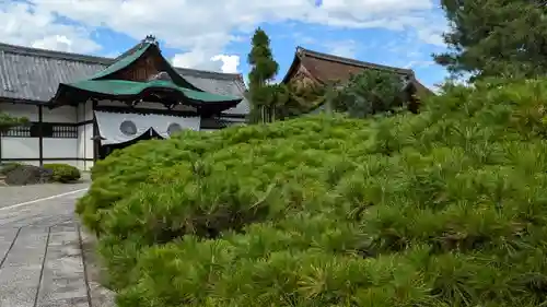 大覚寺(京都府)