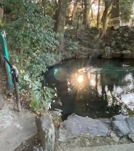 泉神社(茨城県)