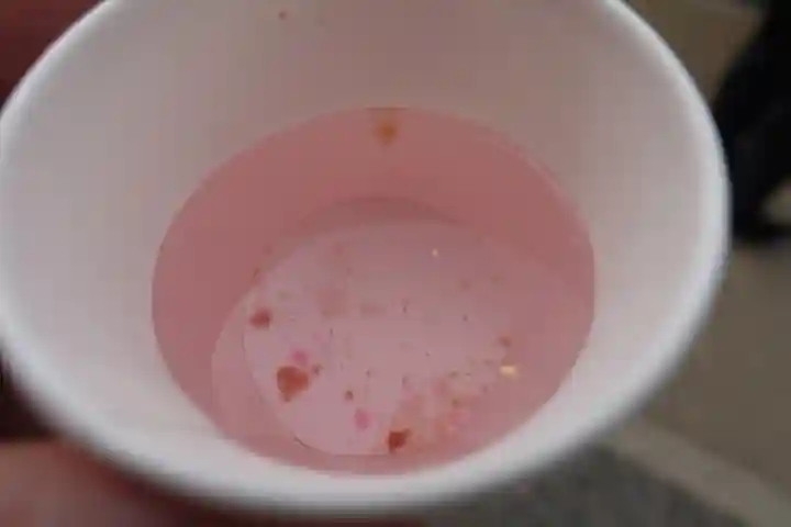 豊國神社の食事