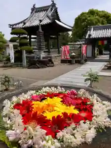 真言宗 善通寺派 薬王寺(香川県)(2024年05月02日(木) 11時50分24秒投稿)