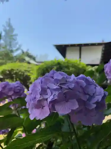 武蔵第六天神社の自然