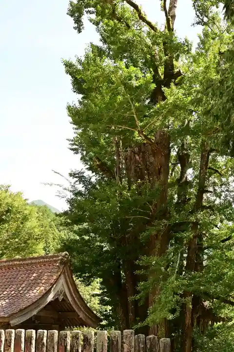 三島神社(愛媛県)