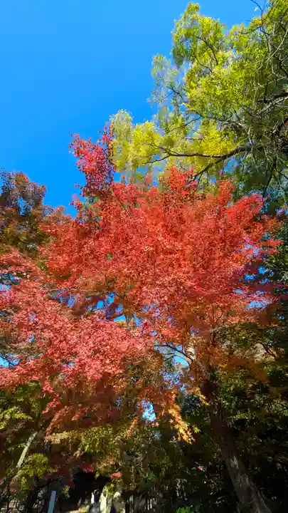 北野天満宮(京都府)