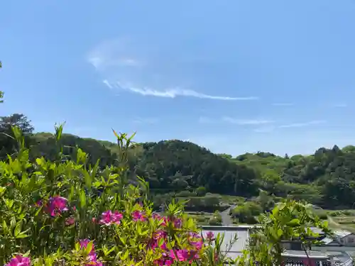 朝日寺(岡山県)