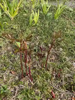永張寺(愛知県)