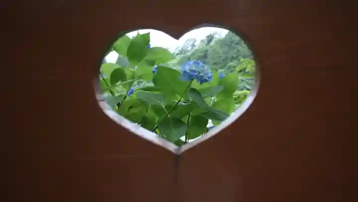 柳谷観音 楊谷寺(京都府)