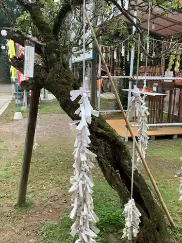 大生郷天満宮の自然