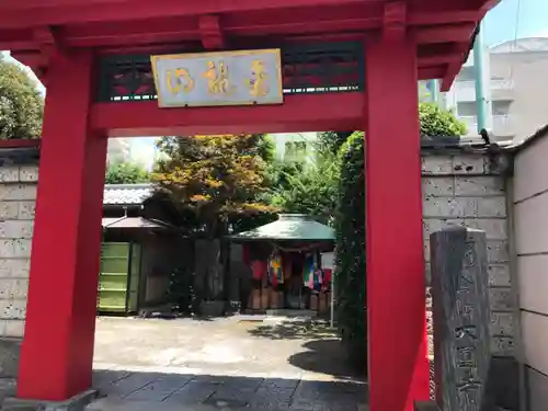 大円寺の山門