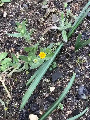 三輪神社の自然