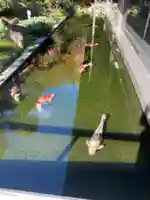 護国寺(東京都)