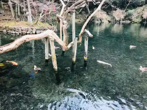 涌釜神社の庭園