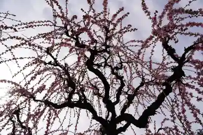 結城神社(三重県)