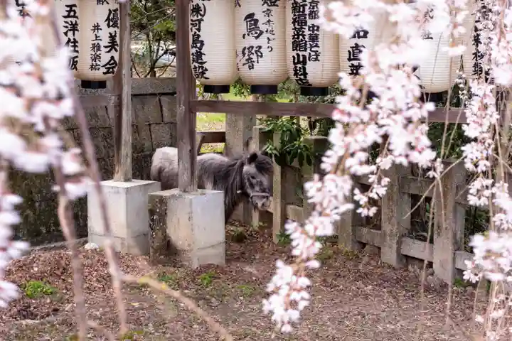 大石神社(京都府)