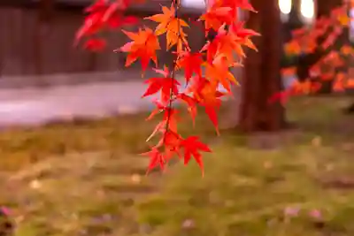 諏訪大社下社秋宮(長野県)