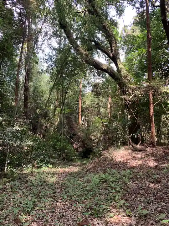 妙見神社(千葉県)