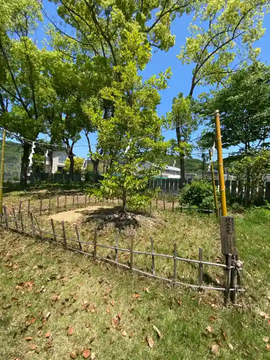 大浦神社の{uncategorized: "未分類", other: "その他", undefined: "問題あり", building: "その他建物", grave: "お墓", sacred_gate: "鳥居", guardian: "狛犬", statue: "像", buddha: "仏像", history: "歴史", nature: "自然", garden: "庭園", animal: "動物", pagoda: "塔", temizu: "手水舎", mountain_gate: "山門・神門", sanctuary: "本殿・本堂", subordinate: "末社・摂社", art: "芸術", scenery: "景色", jizo: "地蔵", ema: "絵馬", goshuin: "御朱印", omikuji: "おみくじ", items: "授与品その他", amulet: "お守り", goshuincho: "御朱印帳", eats: "食事", festival: "お祭り", votive_dance: "神楽", shichigosan: "七五三参", wedding: "結婚式", experience: "体験その他", initially: "初詣", around: "周辺", anti_infection: "感染症対策"}