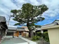 浄願寺の建物その他