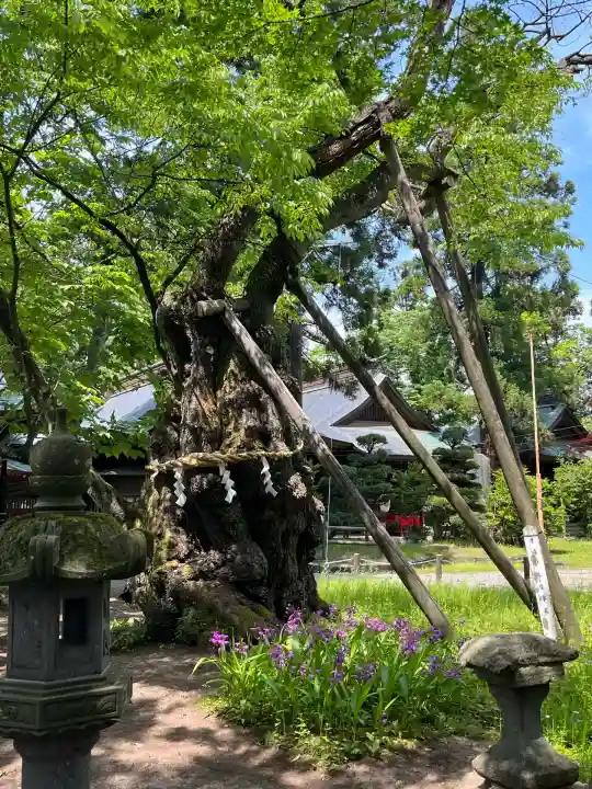 蠶養國神社(福島県)