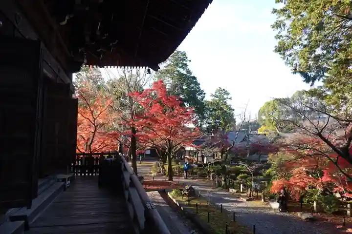 真正極楽寺(真如堂)(京都府)