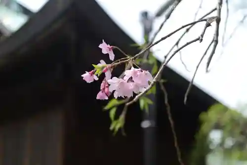 弘明寺(神奈川県)