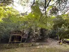 七王子神社の自然